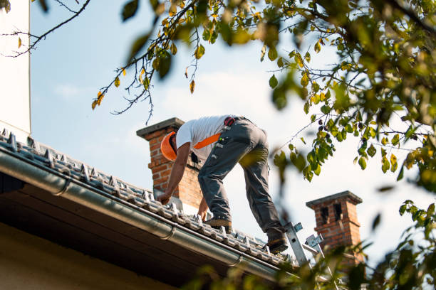 Quick and Trustworthy Emergency Roof Repair Services in Lumber City, GA