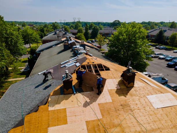 Best Flat Roof Repair Services  in Lumber City, GA