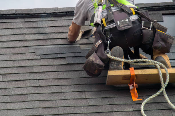 Best Roof Gutter Cleaning  in Lumber City, GA