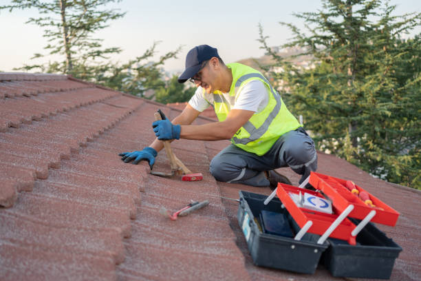 Best New Roof Installation  in Lumber City, GA