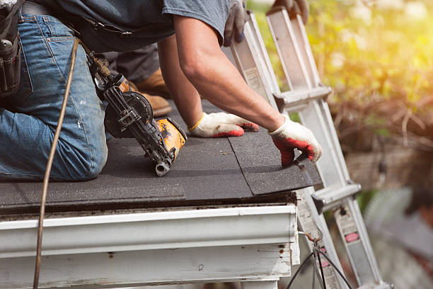 Roof Gutter Cleaning in Lumber City, GA
